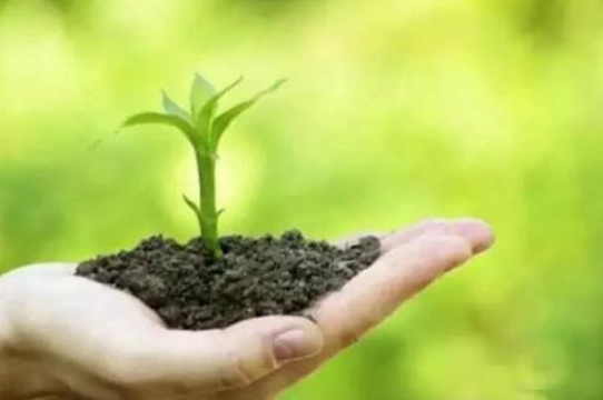 微生物肥料能代替化肥吗？  农资人 农资人网站 肥料 有机肥料 化学肥料 微生物肥料 第1张